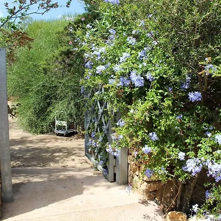 Bed & Breakfast B&B Le Corti Di Aloa San Pantaleo